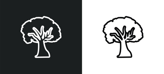 sycamore tree outline icon in white and black colors. sycamore tree flat vector icon from nature collection for web, mobile apps and ui.