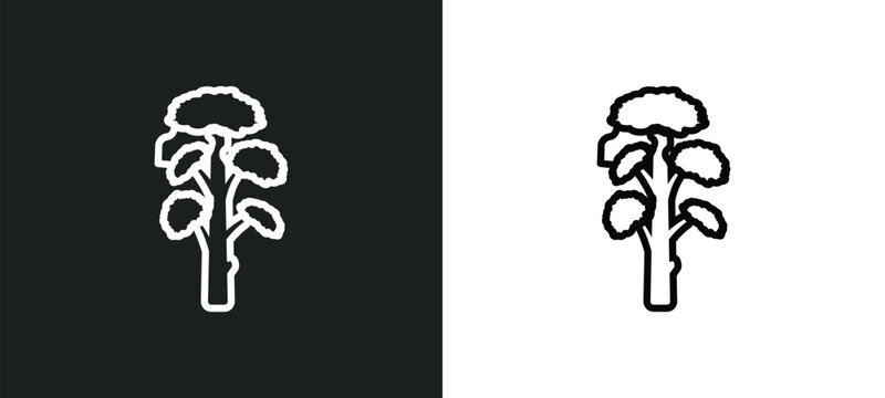 slippery elm tree outline icon in white and black colors. slippery elm tree flat vector icon from nature collection for web, mobile apps and ui.