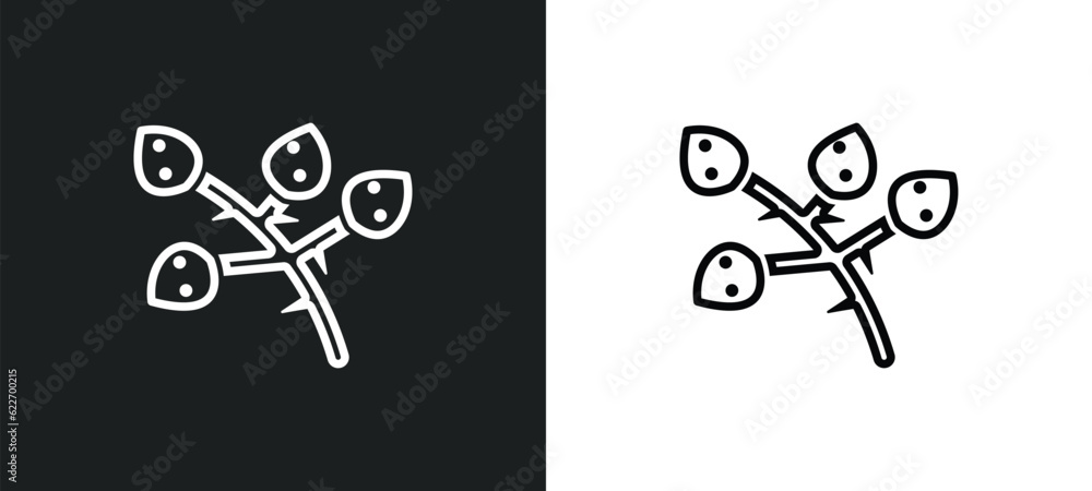 Poster quaking aspen tree outline icon in white and black colors. quaking aspen tree flat vector icon from 