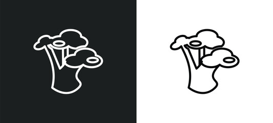 Fototapeta premium gray birch tree outline icon in white and black colors. gray birch tree flat vector icon from nature collection for web, mobile apps and ui.