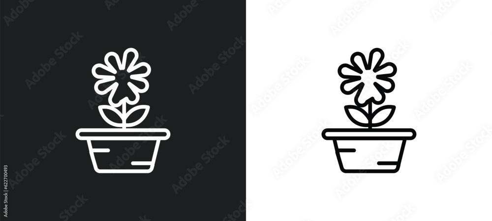 Poster daisy on pot outline icon in white and black colors. daisy on pot flat vector icon from nature colle