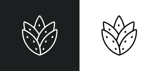 Obraz premium agave outline icon in white and black colors. agave flat vector icon from nature collection for web, mobile apps and ui.