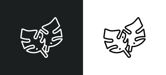 philodendron outline icon in white and black colors. philodendron flat vector icon from nature collection for web, mobile apps and ui. © Digital Bazaar