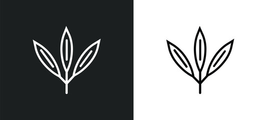 willow leaf outline icon in white and black colors. willow leaf flat vector icon from nature collection for web, mobile apps and ui. - obrazy, fototapety, plakaty