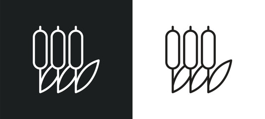 Obraz premium reed outline icon in white and black colors. reed flat vector icon from collection for web, mobile apps and ui.