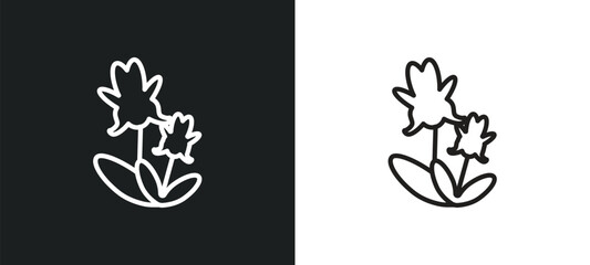 Fototapeta na wymiar iris outline icon in white and black colors. iris flat vector icon from nature collection for web, mobile apps and ui.