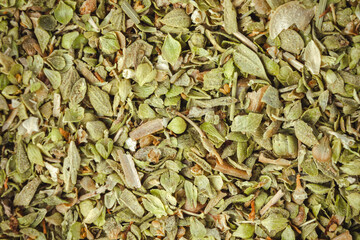 Oregano spice close-up. Dried oregano.