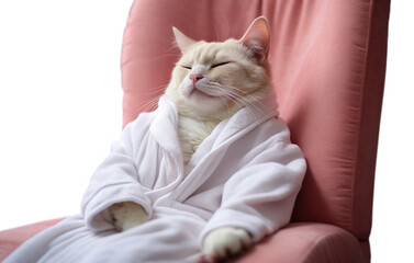 The cat in a bathrobe is resting from spa treatments on a transparent background.