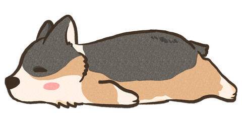 corgi sleep
