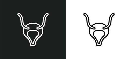 bladder outline icon in white and black colors. bladder flat vector icon from medical collection for web, mobile apps and ui.