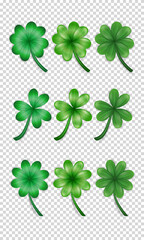 Big set of realistic vector green clovers various shape and style on transparent background. Different cartoon trefoil as an Irish symbol, sign of luck. Plant with leaves, shamrock for St Patrick Day