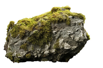 Overgrown lichen on a rock. isolated object, transparent background - obrazy, fototapety, plakaty