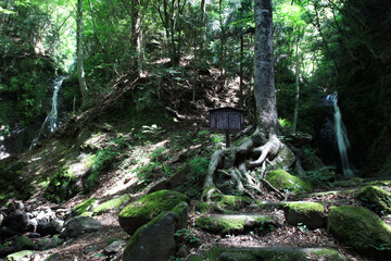 	雄滝と雌滝　山梨県南都留郡道志村