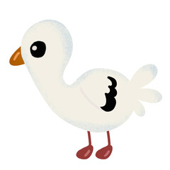 Cute Beach seagull, illustration on transparent backgound. Good for printing.