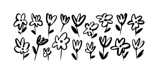 Wild flowers illustrations isolated on white background. Cute small flowers in sketch style. Simple botanical elements. Brush drawn branches with leaves and buds. Vector meadow plants, chamomiles. 