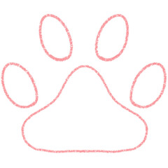 cat foot pattern