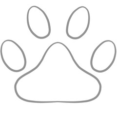 cat foot pattern