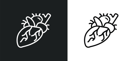 heart outline icon in white and black colors. heart flat vector icon from health and medical collection for web, mobile apps and ui.