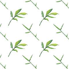 Seamless pattern green leaves trees, foliage of natural branches, green leaves, herbs, tropical plants hand drawn watercolor on white background.