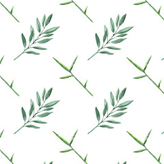 Seamless pattern green leaves trees, foliage of natural branches, green leaves, herbs, tropical plants hand drawn watercolor on white background.