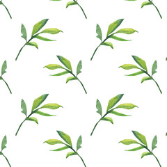 Seamless pattern green leaves trees, foliage of natural branches, green leaves, herbs, tropical plants hand drawn watercolor on white background.