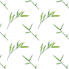 Seamless pattern green leaves trees, foliage of natural branches, green leaves, herbs, tropical plants hand drawn watercolor on white background.