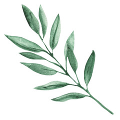 Watercolor green leaves element. Botanical elemnt isolated on white background suitable for Wedding Invitation, save the date, thank you, or greeting card.