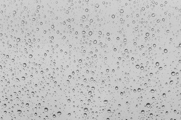 Water droplets on white background