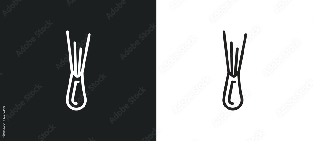 Poster spring onion outline icon in white and black colors. spring onion flat vector icon from fruits colle