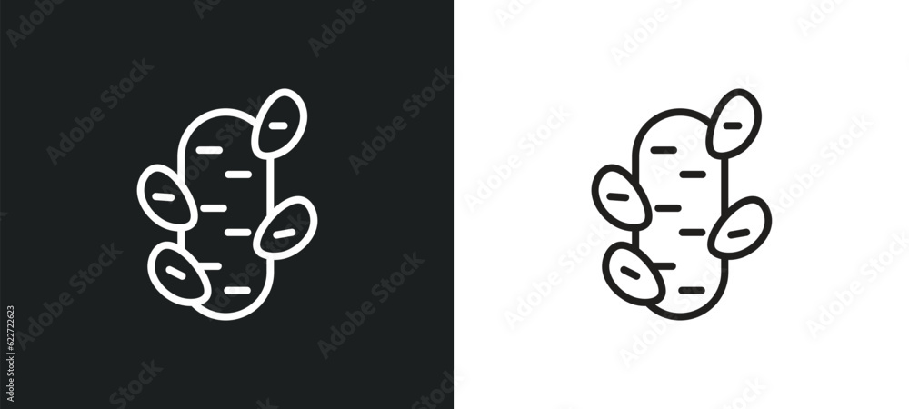 Poster ginger outline icon in white and black colors. ginger flat vector icon from fruits collection for we