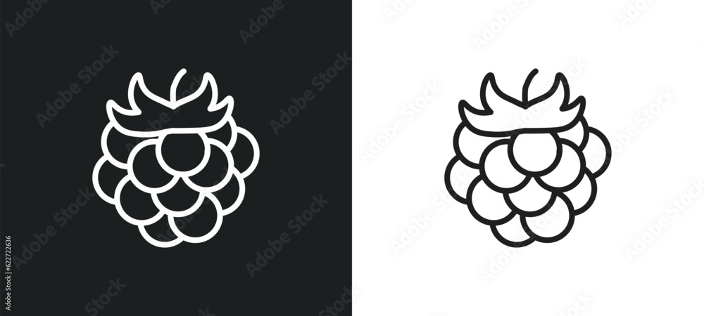 Poster raspberry outline icon in white and black colors. raspberry flat vector icon from fruits collection 