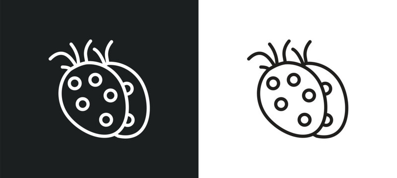 tuber outline icon in white and black colors. tuber flat vector icon from fruits and vegetables collection for web, mobile apps and ui.