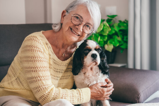 Smiling senior woman sitting on sofa at home while hugging her cavalier king charles spaniel dog. Elderly retired lady with her best friend looks into the camera