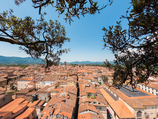 Ancient city of Lucca seen from above