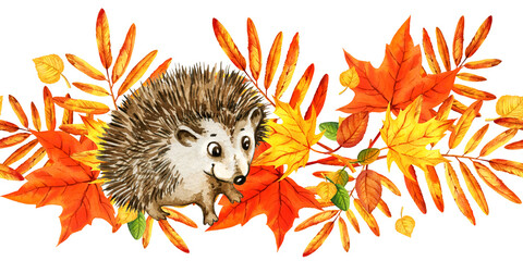 watercolor seamless border with cartoon cute hedgehog with autumn leaves, hand drawn illustration of yellow and orange maple leaves, mountain ash leaves, sketch isolated on white background
