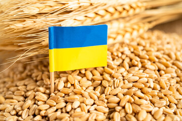 Grains wheat with Ukraine flag, trade export and economy concept.