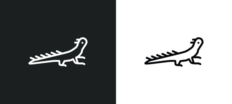 lizard outline icon in white and black colors. lizard flat vector icon from desert collection for web, mobile apps and ui.