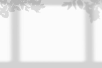 Leaves and window pane shadow. Realistic tree branches shadow blur isolate on transparent backgrounds.  Shadow drop on white wall png