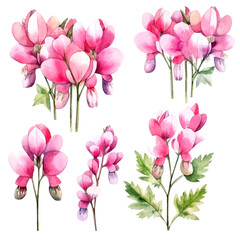 Set of soft pink floral watecolor. flowers and leaves. bleeding heart flower, invitation floral. Vector arrangements for greeting card or invitation design