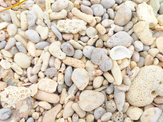 Natural sea stones 