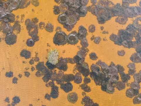 Aerial view of Laguna Rosada, a wetland in Dzemul Municipality, Yucatan, Mexico.