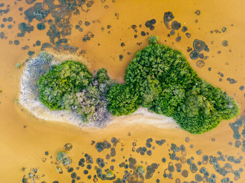 Aerial view of Laguna Rosada, a wetland in Dzemul Municipality, Yucatan, Mexico.
