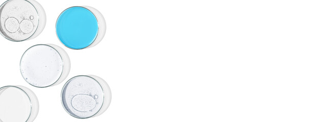 Rectangular banner with Petri dishes isolated. laboratory, research of molecules and bacreria and viruses. Can be pasted on your background