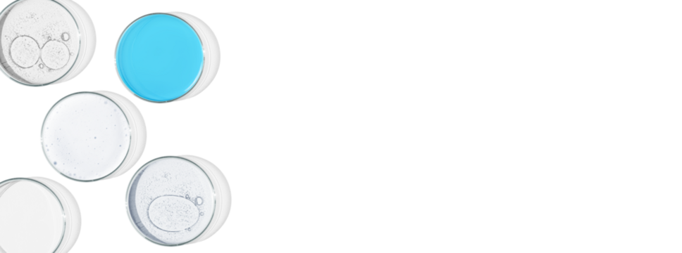 Rectangular banner with Petri dishes isolated. laboratory, research of molecules and bacreria and viruses. Can be pasted on your background