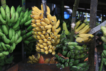 presidente tancredo neves, bahia, brazil - july 7, 2023: bananas for sale in a shop along the...