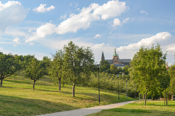 Fototapeta na wymiar beautiful summer city park with trees in Prague