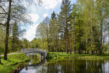 beautiful forest with a bridge and its reflection in the pond