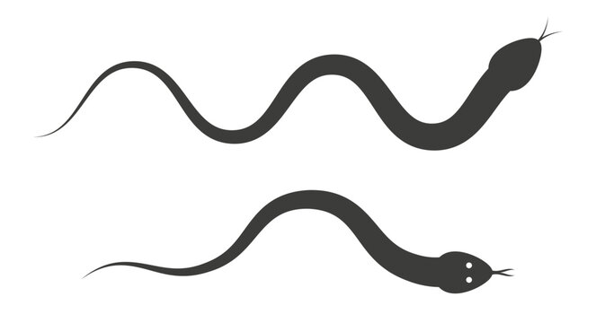 Simple cute snake silhouette icon. Flat vector illustration isolated on white background.