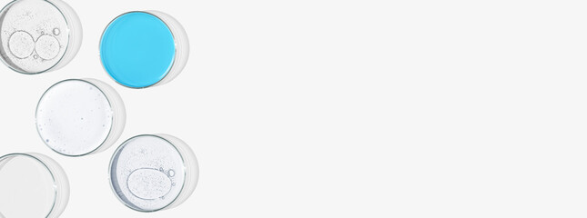 Rectangular banner with Petri dishes isolated. laboratory, research of molecules and bacreria and viruses. Can be pasted on your background