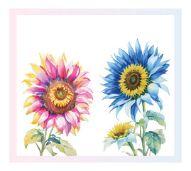 watercolor sunflower blue and pink flow botanical art ,isolated design on a white background, bright colures bouquet.